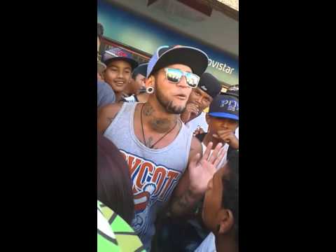 Anestecia vs Bengali