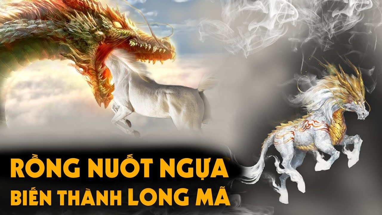 Rồng Nuốt Ngựa Biến Thành Long Mã???