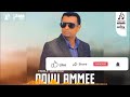 ODUU AMMEE SABAR ZENA New Oromo Music By Tadele Gemechu 2023