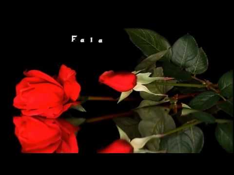 Za vsaku dobru reč – Fala – Vladimir Ruždjak