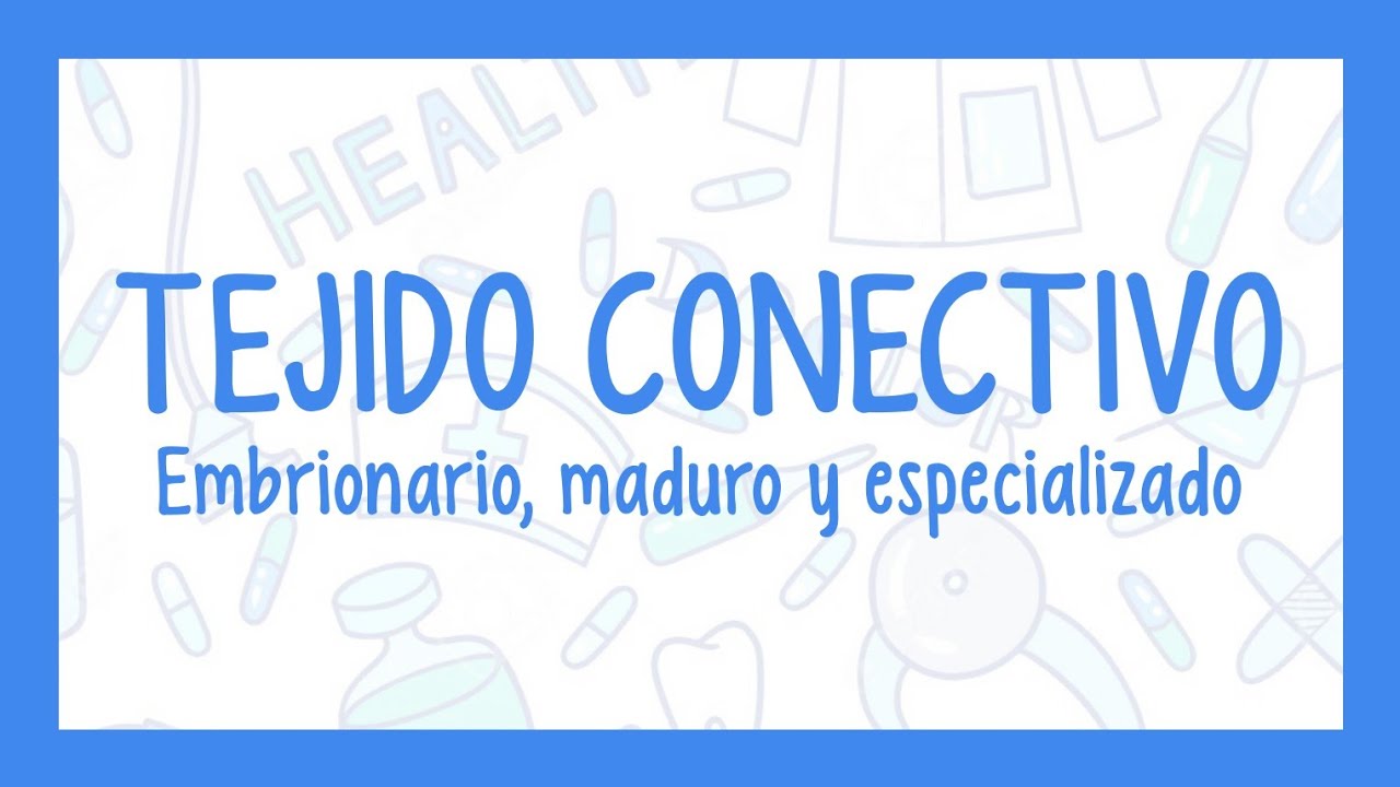 TEJIDO CONJUNTIVO | ¡Fácil explicación! (Histología)