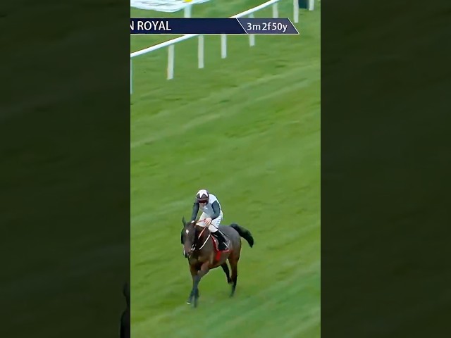 Thumbnail for Post ID: OOIY4vZwh_8