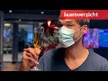 Zo was 2020: vuurwerk, rellen, seksende panda's én... het coronavirus | RTV Utrecht