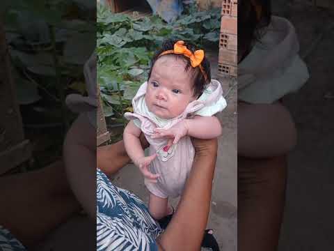 São Francisco do Pará.