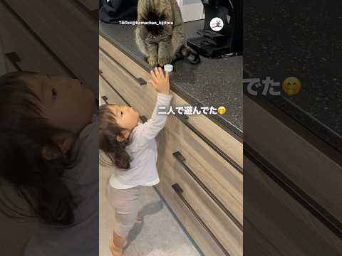 ペットボトルの蓋で遊んでた｜PECO