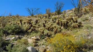 Intertribal 2 from Yellow Hammer: World Champions