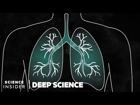 This Is How a COVID-19 Infection Progresses Step by Step