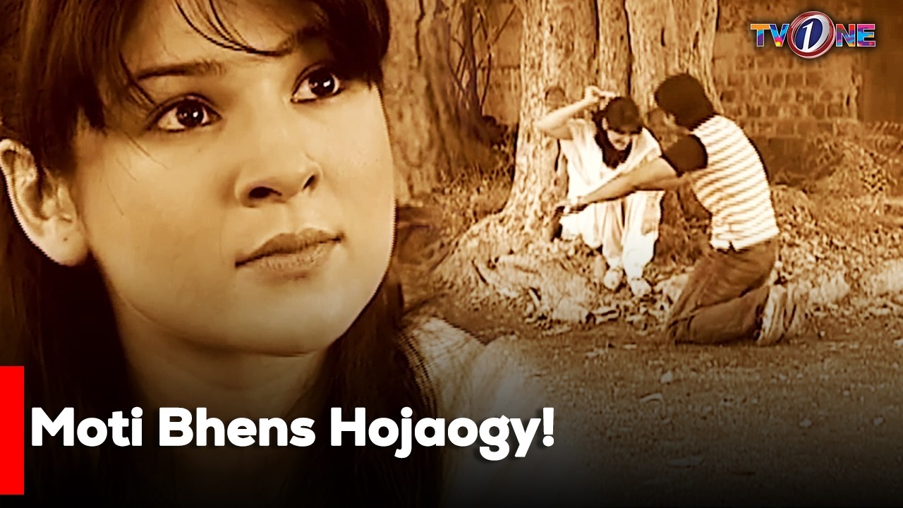 Moti Bhens Hojaogy!  | Ayesha Omar | Danish Taimoor | Hina Dilpazeer