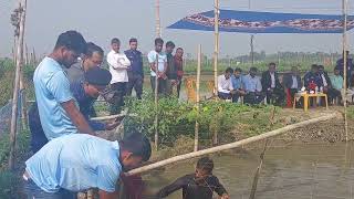 জেলা প্রশাসকের পরিদর্শন শিবপুর গাঙ্গপাড় ক্লাস্টারে চিংড়ি আহরণ