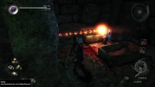 Nioh