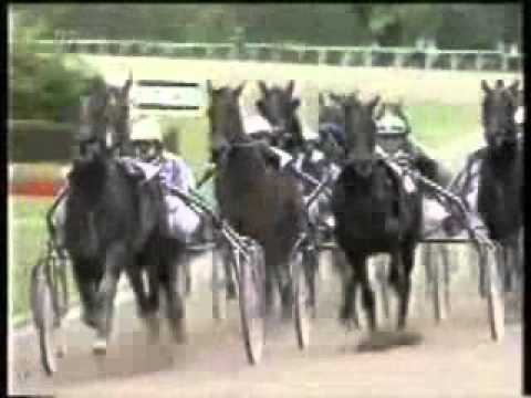 Deutsches Traber St Leger 1996 -General November