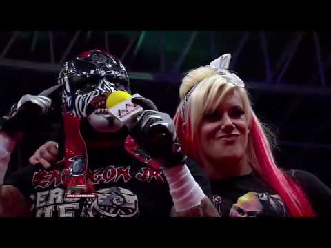 AAA Worldwide Toluca Marzo 2016