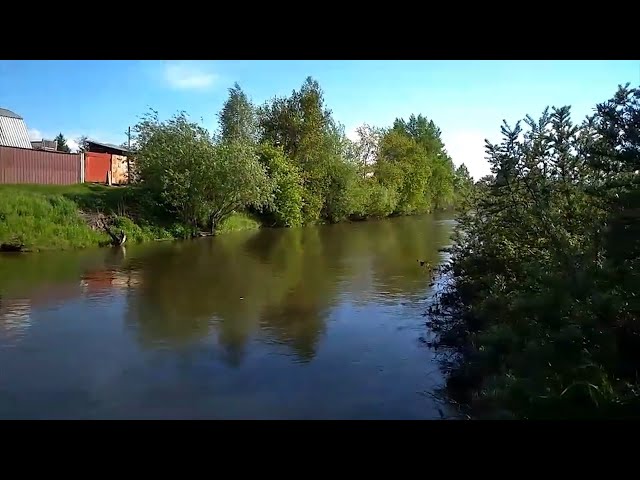 Тёплый канал в Ангарске затянуло масляными пятнами