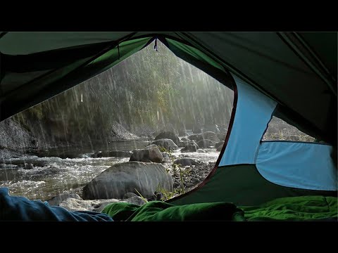 Сон в палатке под звуки дождя у реки. 10 часов нежного дождя в палатке без грома.