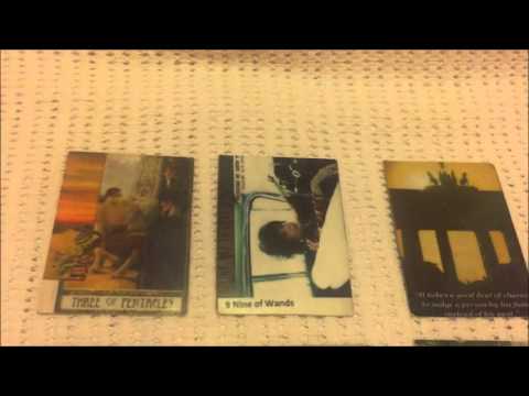 Stiere ausführliche Vorschau Januar 2016