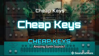 Sonic Nomad - Cheap Keys 👊 AUv3 - Retro Synth Tutorial / Demo