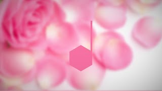 The Chainsmokers ft. ROZES - Roses (ZAXX Remix)