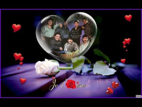 grupo  Formula  5  🌹🌼