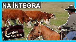 Miniatura do vídeo