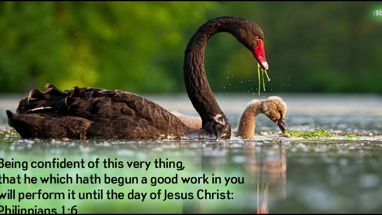 2033 AD - Devotional