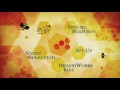 Bee Movie MENU DVD HD 2007