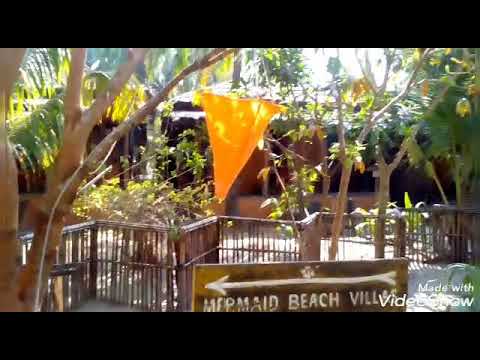 Our Honeymoon Video 24-01-2017