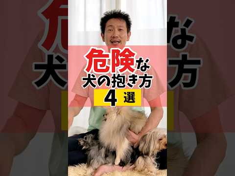 危険な犬の抱き方4選#犬のしつけ #dog #犬のいる暮らし