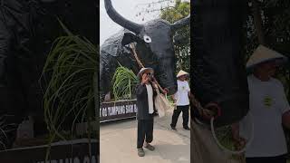Download lagu pak tani bawa banteng raksasa jy #remix #cover #dj #karnaval #jogetkarnafal mp3 Download lagu pak tani bawa banteng raksasa jy #remix #cover #dj #karnaval #jogetkarnafal mp3