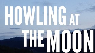 Howling At The Moon | Milow ✔