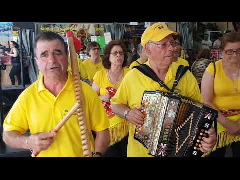Os Amigos  da  Concertina   Expovez Feira do Alto Minho  4/5/2019