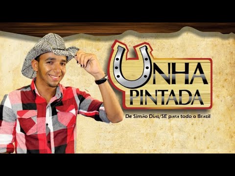 Unha Pintada Ao Vivo - Meu Amor Voltou