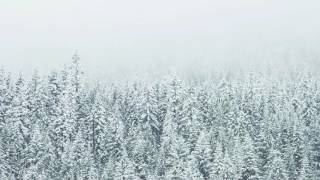 Warm Vibes | A Winter Mix
