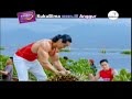 TVC KUKU BIMA