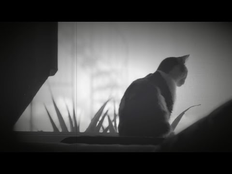 Stefan Torto - Passage (Official Music Video)