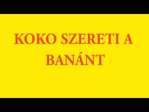 Koko szereti a banánt