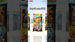 They 11 out of 31 if someone subscribes the day count goes up #pokemonchannel #pokemoncardopening 