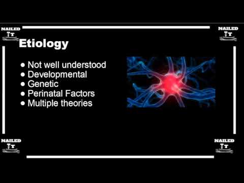 The Etiology of Clubfoot