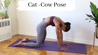 All About Cat-Cow | Breathe Flow Be with Sharron Lynn