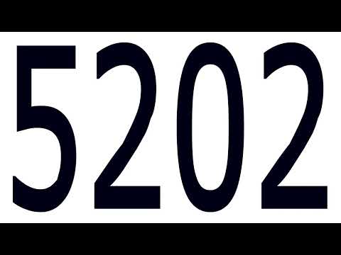 5202