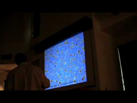 Imaging Localized and Extended Electronic States