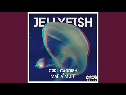 Jellyfish