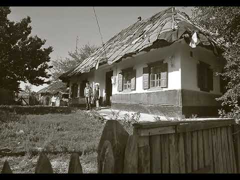 Очеретяний кіт - "Журавлями"