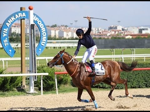 Yüksek Komiserler Kurulu Koşusu (Grup - 1) 07/07/2018