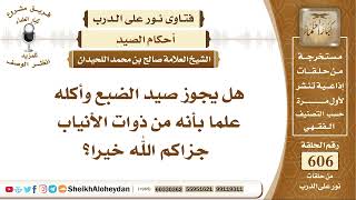 صورة 7489 -  هل يجوز صيد الضبع وأكله علما بأنه من ذوات الأنياب؟ - نور على الدرب