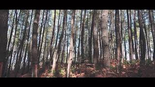 preview picture of video 'Explore Pinus - Padang Napu'