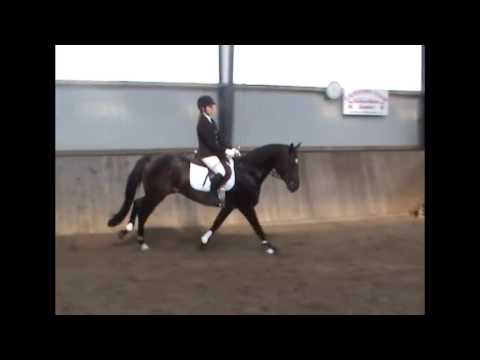 Kat  Nr  2 Herzensbrecher v  Ruffian Reef xx