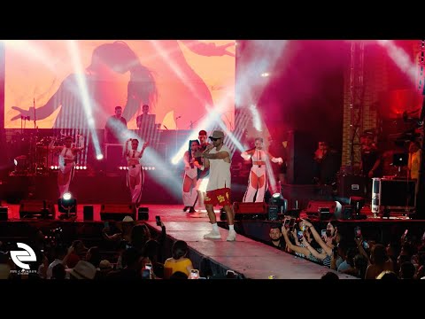 Pipe Calderón - Te Gateo  (en vivo desde San Martín) | Live