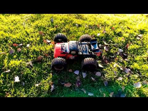 Corally Dementor 4s im Sprung