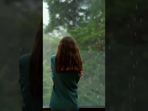 Embracing Light and Dark  A Journey