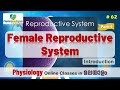 Ep.62 | Female Reproductive System | Introduction | Malayalam
